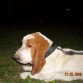 En sus paseos